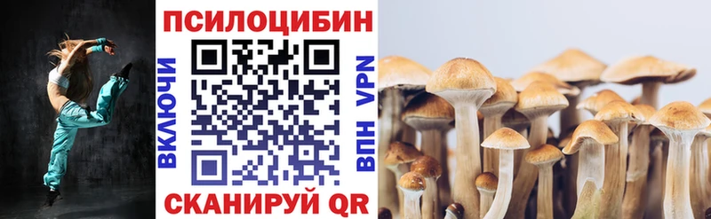 Псилоцибиновые грибы Psilocybine cubensis  Ишим 